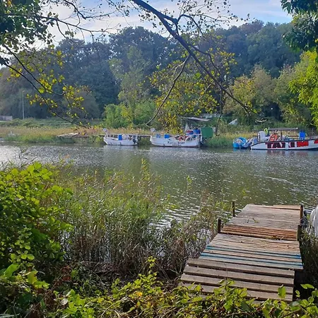 Comfort Blue * Πριμόρσκο