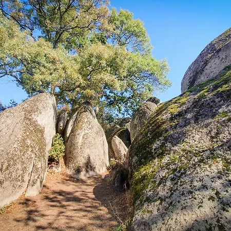 Διαμέρισμα Comfort Blue